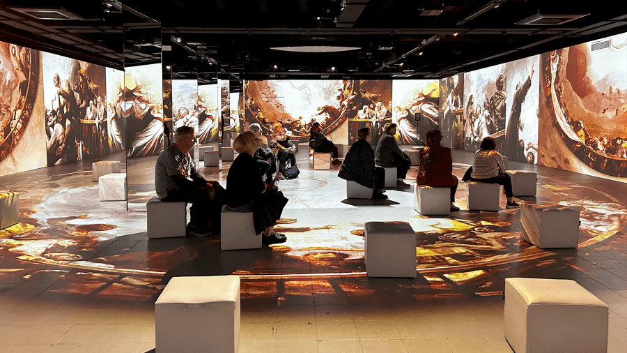 Goya experience
