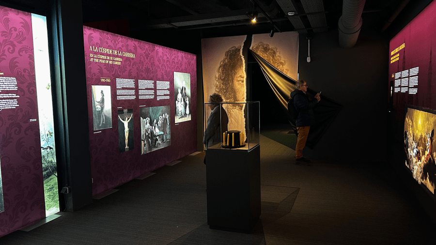 Goya experience